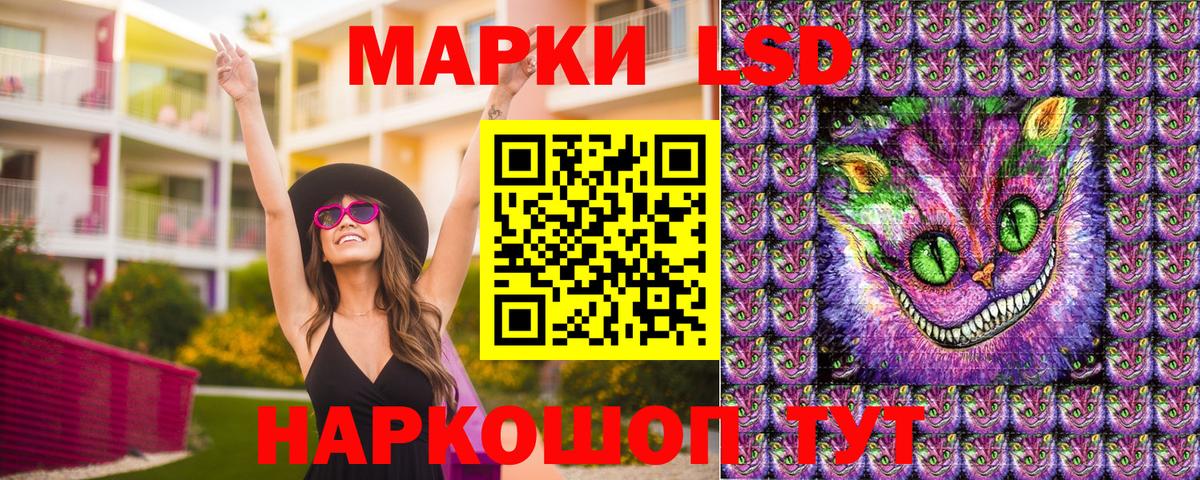 где купить наркотик  Марки NBOMe  Марки NBOMe 1500мкг  Новошахтинск  Вход с VPN  Марки NBOMe 1500мкг 