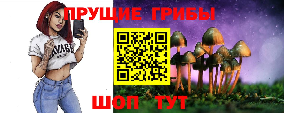 Галлюциногенные грибы Magic Shrooms Новошахтинск